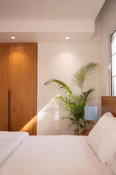 Charming Sunny Studio Cairo
